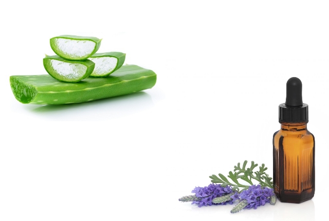 Lavender Oil With Aloe Vera Gel Lavender Oil With Aloe Vera Gel