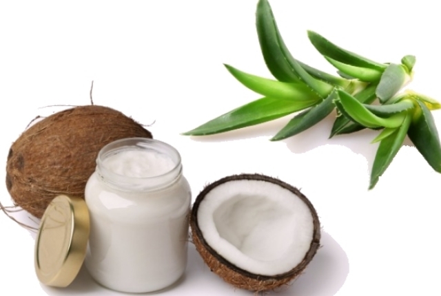 Shea Butter, Aloe Vera, And Coconut Oil Shea Butter, Aloe Vera, And Coconut Oil