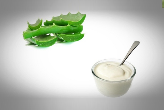 Yogurt Aloe Vera Gel Yogurt Aloe Vera Gel