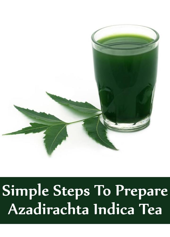 7 Simple Steps To Prepare Azadirachta Indica Tea
