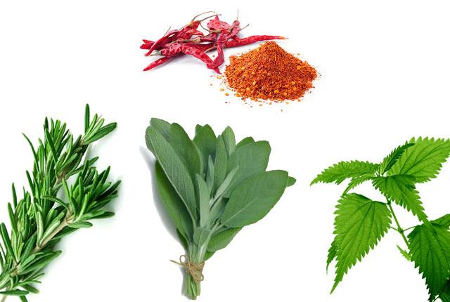 Cayenne Pepper With Rosemary, Sage And Nettle